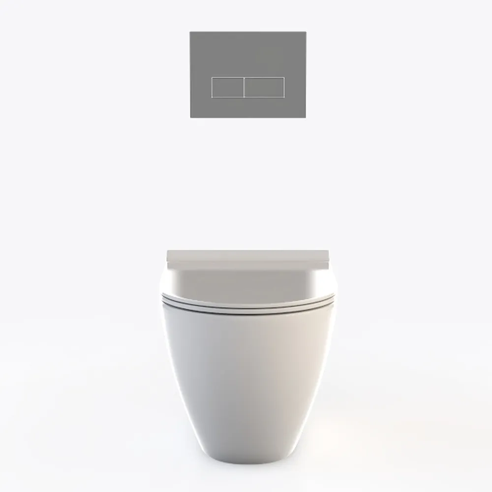 Smart Toilet with Bidet Built in, Toilets with