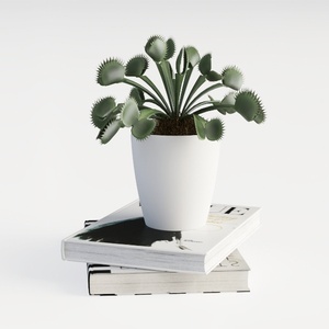 plant-workspace