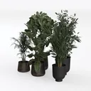 Minimalist Modern Potted Indoor Green Plants 3D Model Left 45 Degree View