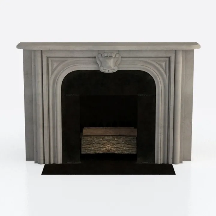 Fireplace 251