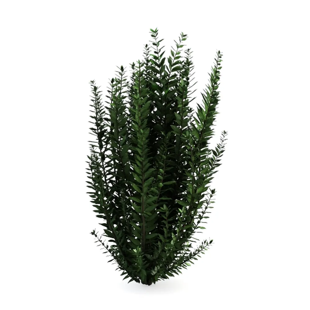 6Ft Dracaena Plant Artificial Tree Fake Tropical