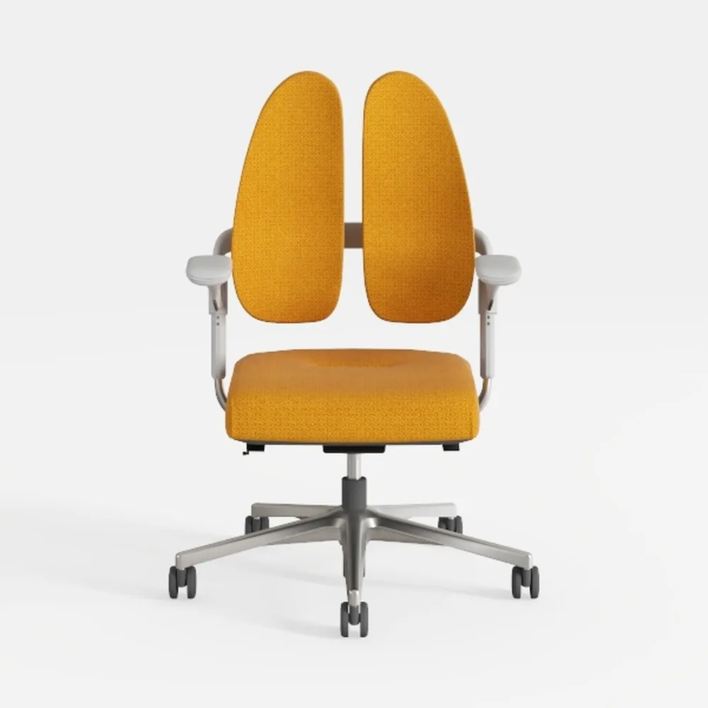 Ergonomic Office Chair with Adjustable Backrest, B