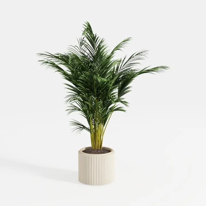 Minimalist Fluted Ceramic Potted Palm Plant 3D Model