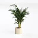 plant-Tropical Vibes Left 45 Degree View