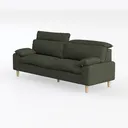 Minimalist Dark Green Fabric Sofa With Solid Wood Legs 3D Model Left 45 Degree View