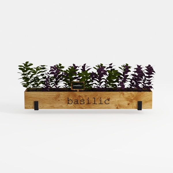 plant-Open-Air Living