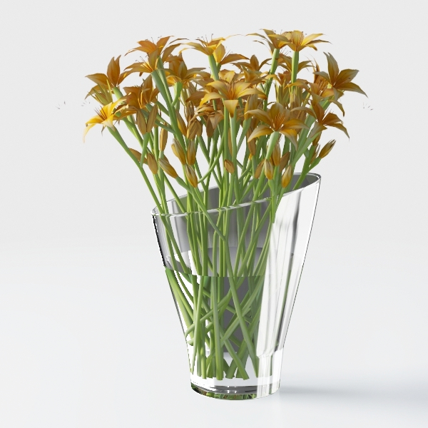 Costa Farms Snake Plant Live Plant | 3-4 Feet Tall