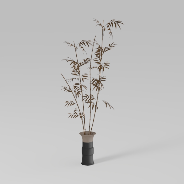 Designer Plant-50