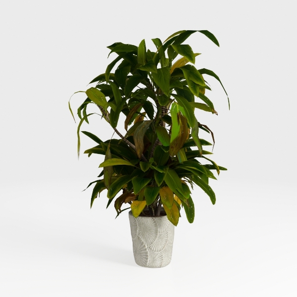 Artificial Dracaena Plant Indoor Fake Tree, Tall