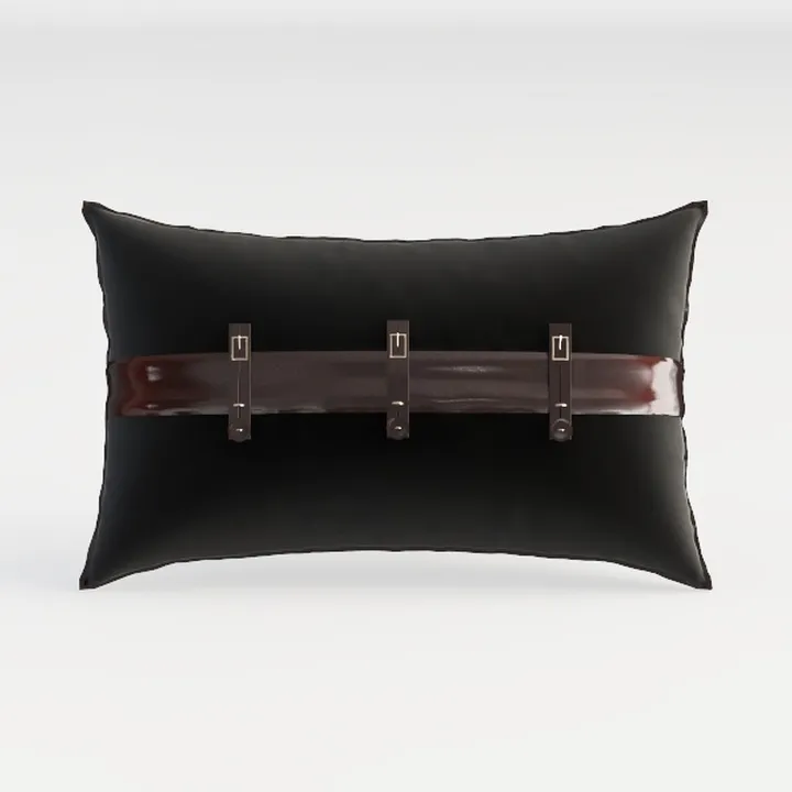 throw pillow-Jan.Check-in