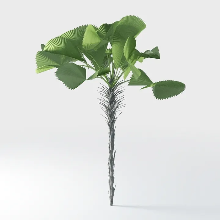 22'' Realistic Southern Magnolia Branches, Real