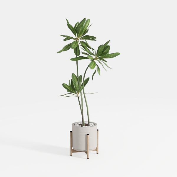  Artificial Camellia tree plant Natural Plant