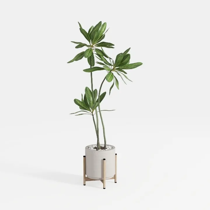  Artificial Camellia tree plant Natural Plant