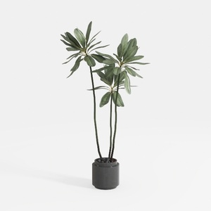 green plant-Complete Japandi Interior