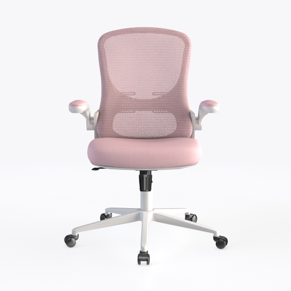 Shahoo Executive Office Chair with Massage