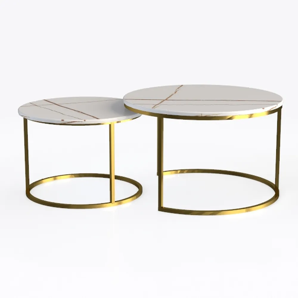 Giluta Round Coffee Table Set of 2, Modern Coffee 