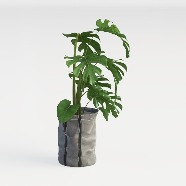 5FT Artificial Olive Tree: Modern Silk Plant with