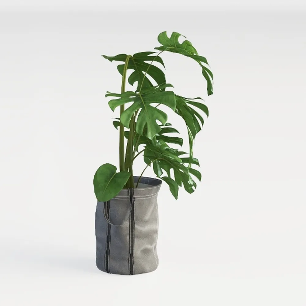 5FT Artificial Olive Tree: Modern Silk Plant with