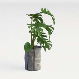 5FT Artificial Olive Tree: Modern Silk Plant with