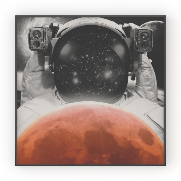 BuildASign Custom Canvas Prints with Your Photos