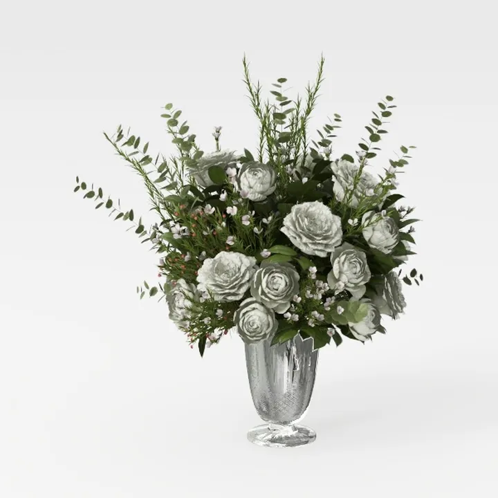 Costa Farms Ferns (2 Pack), Live Premium Boston 
