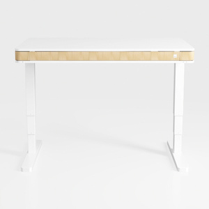 Modern Minimalist White Oak Adjustable Standing Desk 3D Model