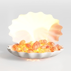 Coastal Ceramic Clam Shell Himalayan Salt Lamp 3D Model