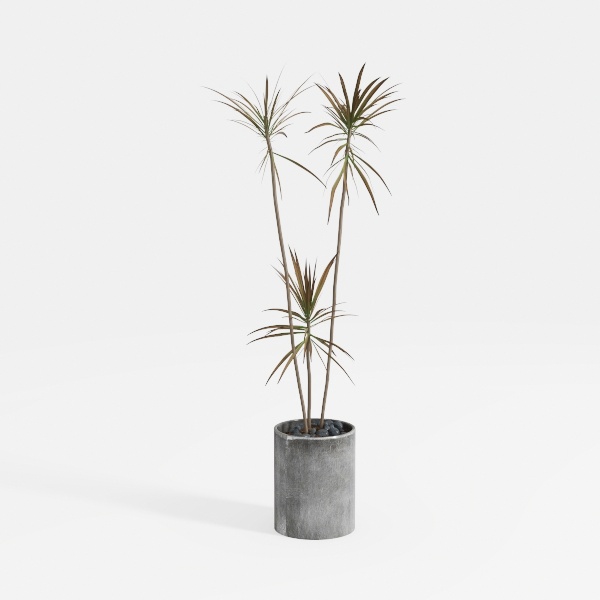 Artificial Dracaena Tree 6FT - Faux Tree Faux