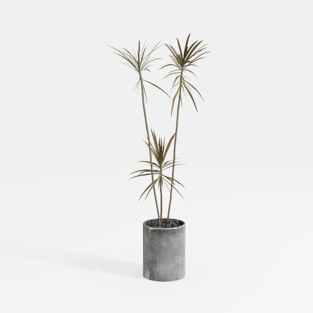 Artificial Dracaena Tree 6FT - Faux Tree Faux