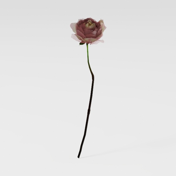 flower-Fluttering Blooms