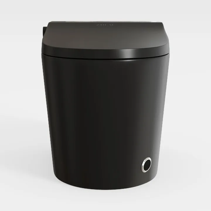 Modern Matte Black Smart Toilet 3D Model