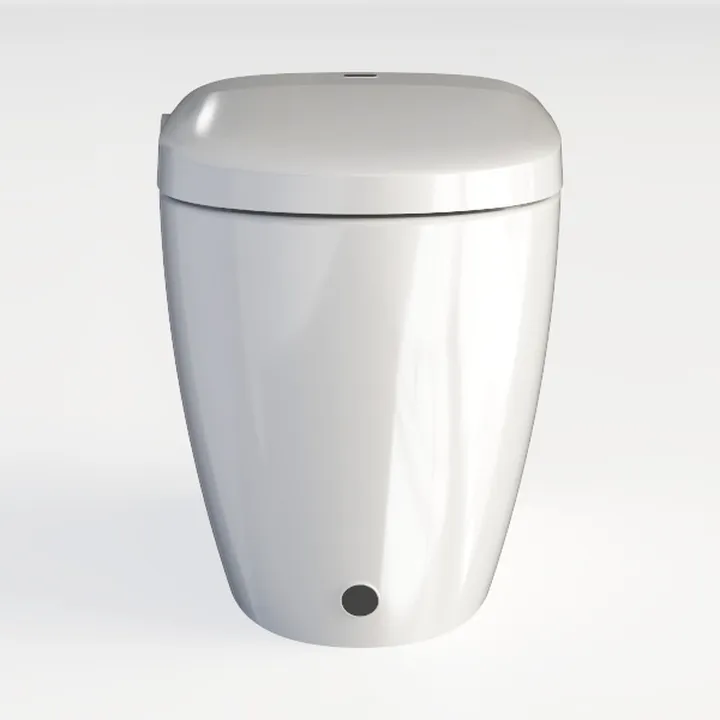 KunMai Egg Shaped Smart Toilet, One-Piece Modern 