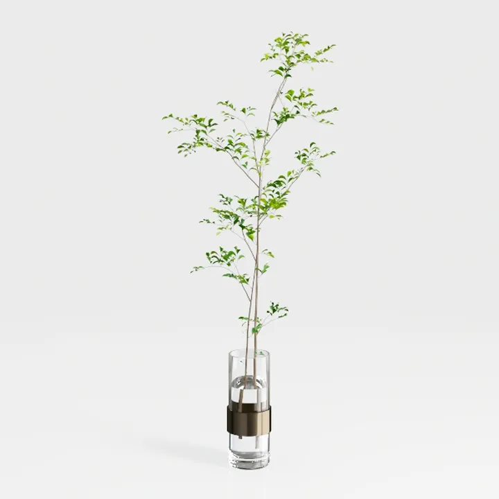 Artificial Eucalyptus Trees Indoor 7FT, Extra Tall