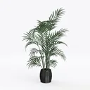 Minimalist Black Ceramic Potted Palm Plant 3D Model Left 45 Degree View