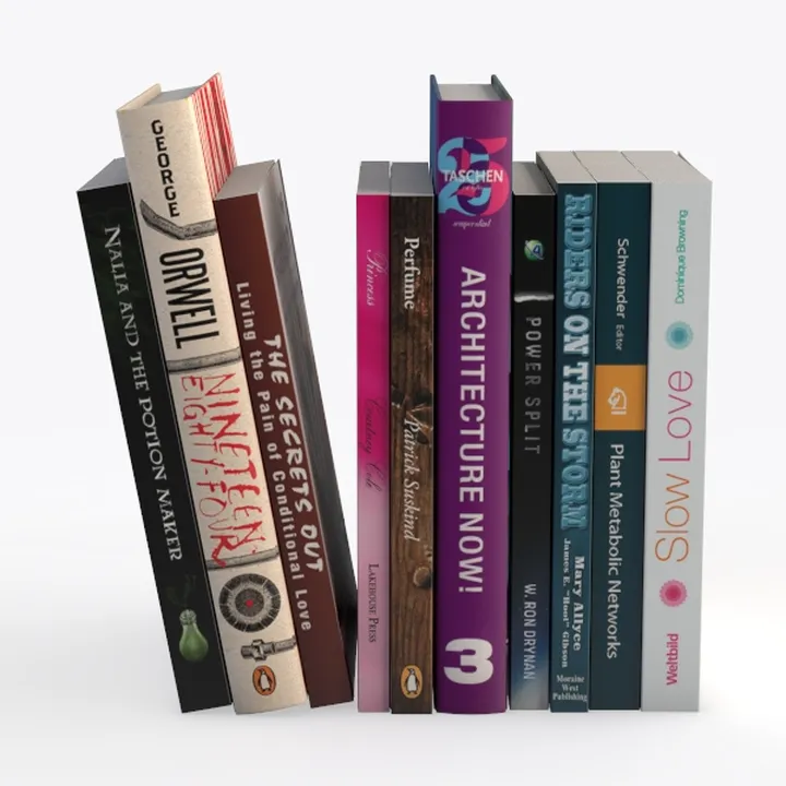 Stacked Assorted Novels Books Collection 3D Model