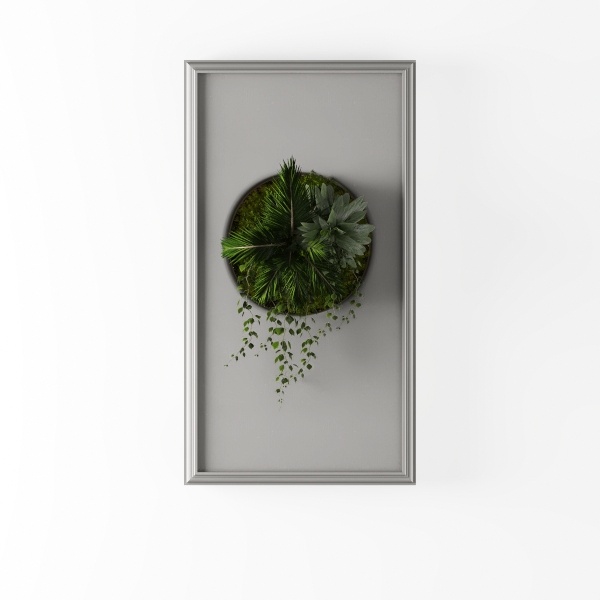 plant wall deco-Hanging Greens
