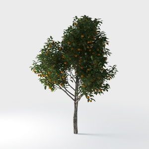 Open-air Cafe-plants 30.max