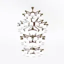 ceiling lamp-Boutique Hotel Left 45 Degree View