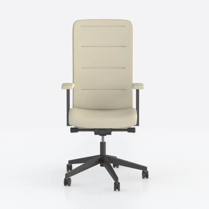 Executive, Desk Chair, High Back Computer Chair Ga