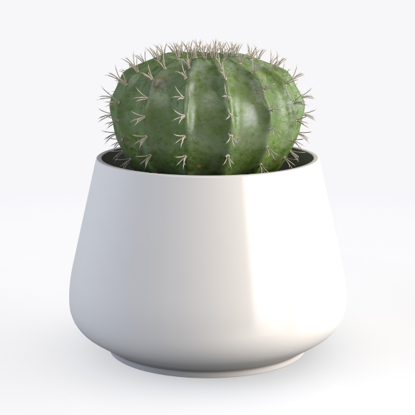 Children&#39;s Accessories 69