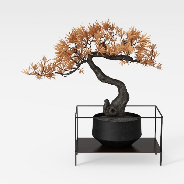 potted plant-Japanese Artistry