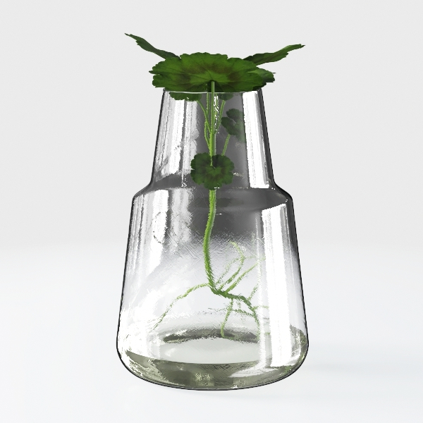 Glass Bottle Potted Plant 