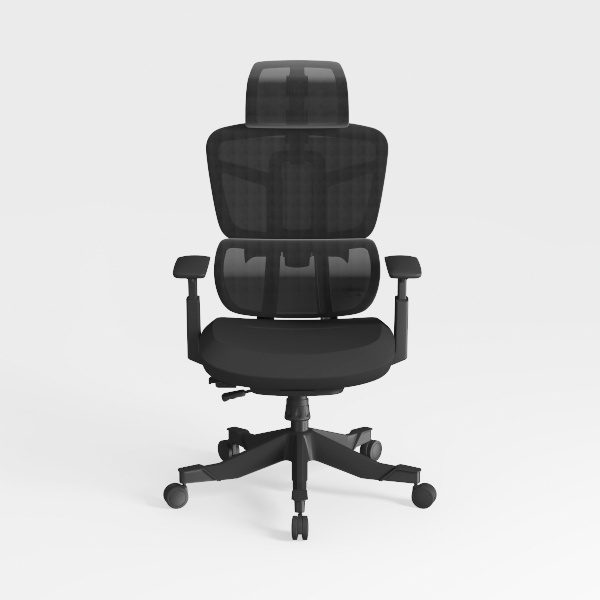 SertaPedic Emerson Executive Task Chair, Supports