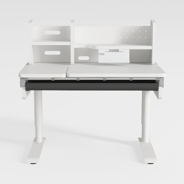 DEVAISE 55×24 Inch Electric Standing Desk with 2