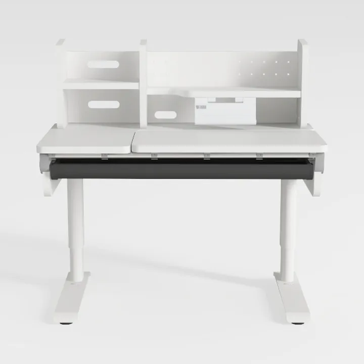 DEVAISE 55×24 Inch Electric Standing Desk with 2