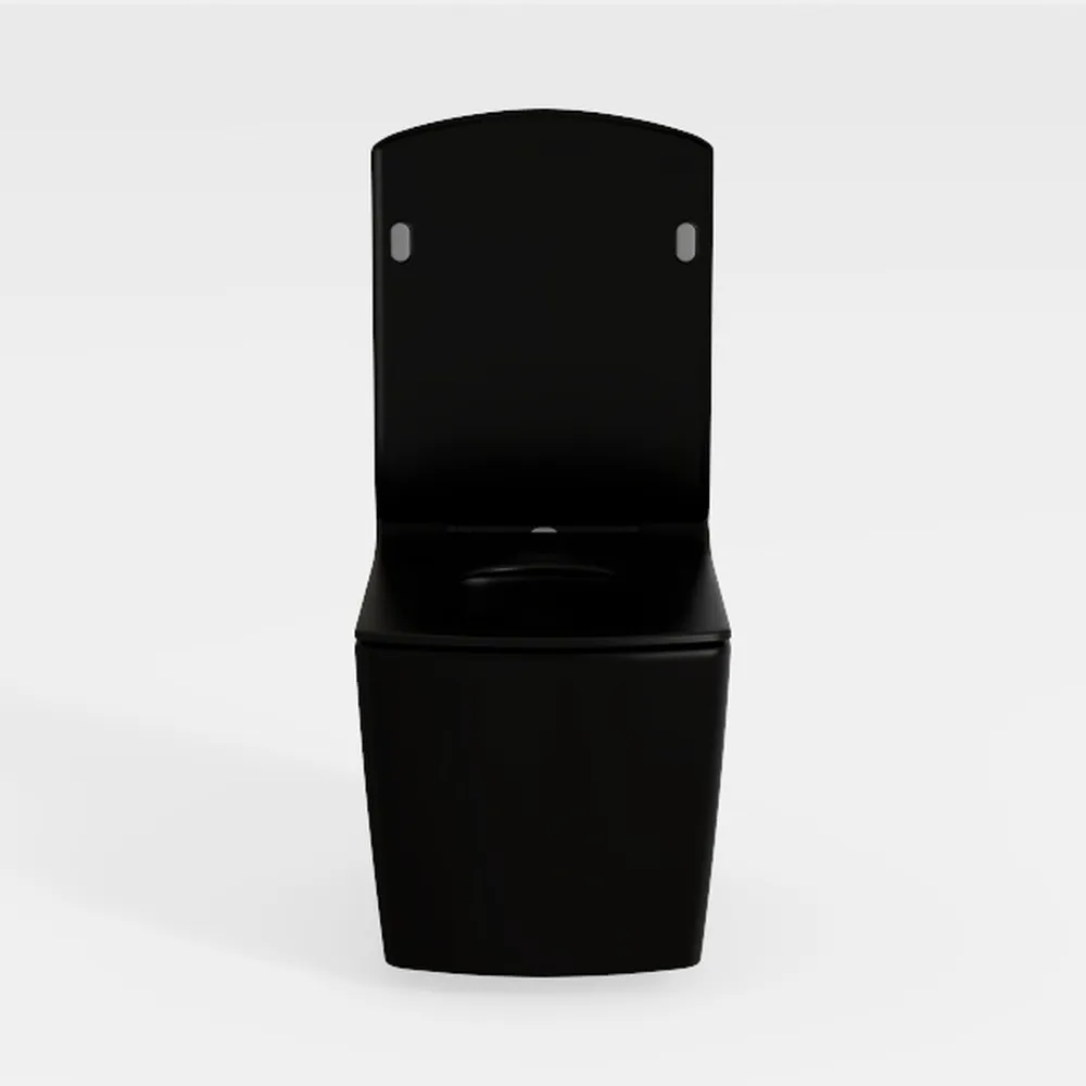 12"Rough-in Elongated Square One Piece Dual Flush