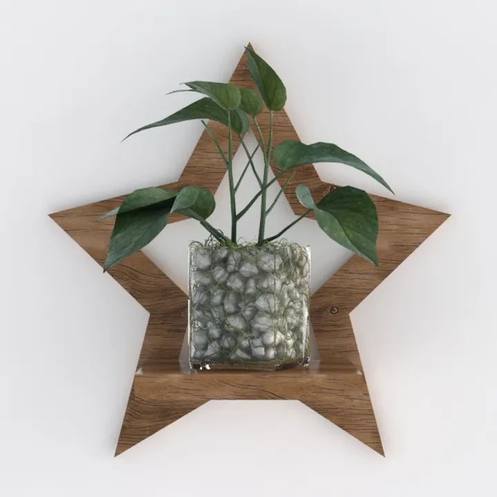 shelf 7