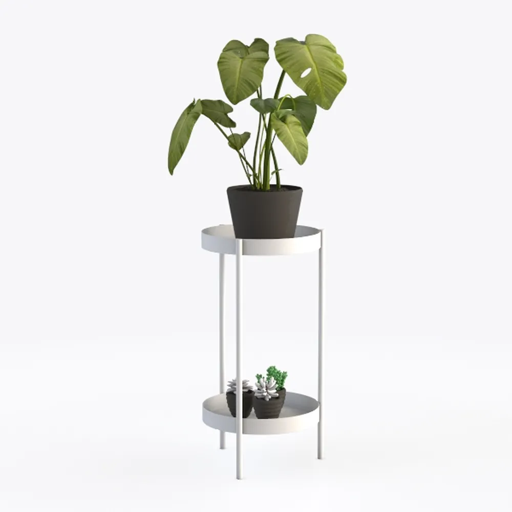 Costa Farms Snake, Sansevieria Mother-In-Law's