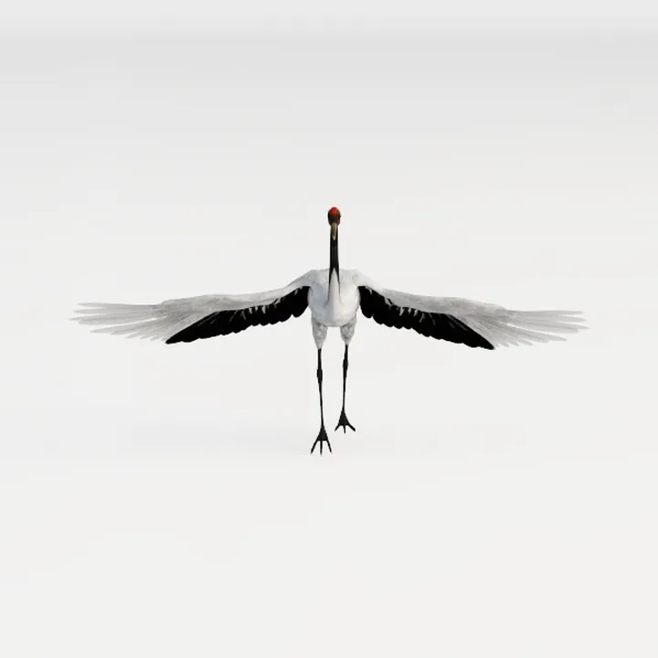crane-Wild Kingdom