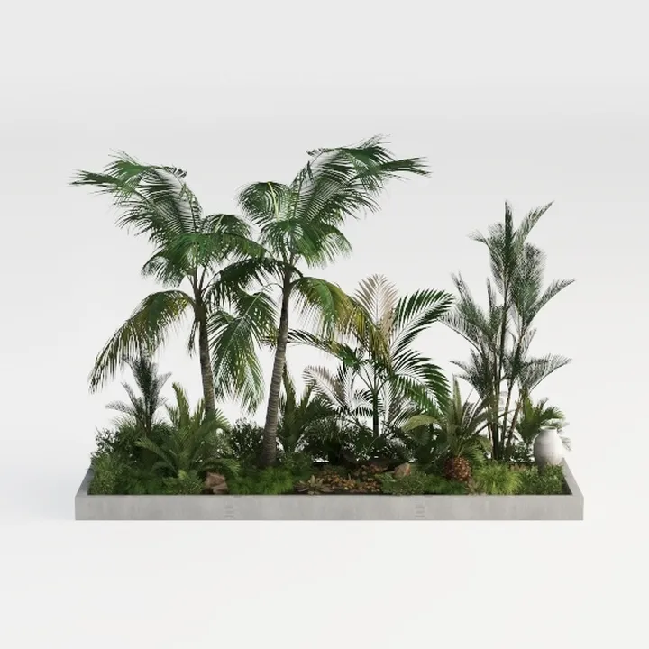 Modern Concrete Base Tropical Palm Landscaping Garden 3D Model